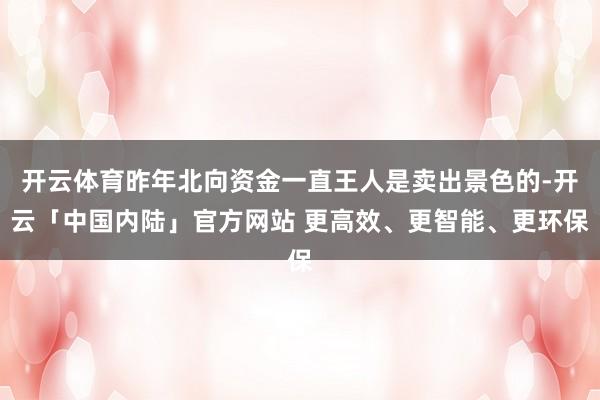 开云体育昨年北向资金一直王人是卖出景色的-开云「中国内陆」官方网站 更高效、更智能、更环保