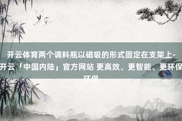 开云体育两个调料瓶以磁吸的形式固定在支架上-开云「中国内陆」官方网站 更高效、更智能、更环保