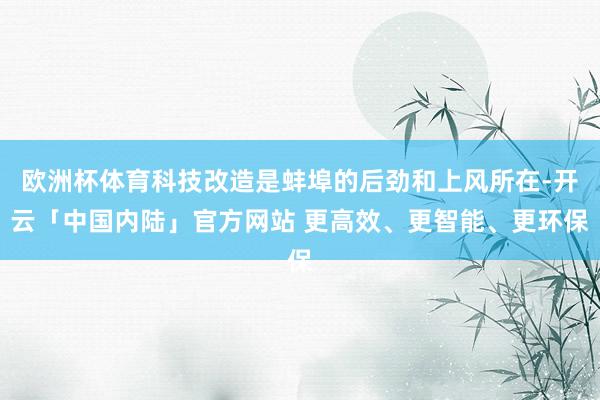 欧洲杯体育科技改造是蚌埠的后劲和上风所在-开云「中国内陆」官方网站 更高效、更智能、更环保