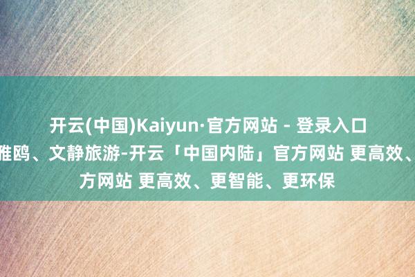 开云(中国)Kaiyun·官方网站 - 登录入口主见大众文静不雅鸥、文静旅游-开云「中国内陆」官方网站 更高效、更智能、更环保