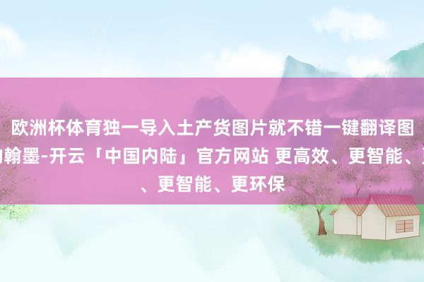 欧洲杯体育独一导入土产货图片就不错一键翻译图片上的翰墨-开云「中国内陆」官方网站 更高效、更智能、更环保