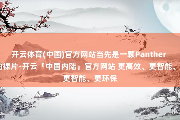 开云体育(中国)官方网站当先是一颗Panther Lake的裸片-开云「中国内陆」官方网站 更高效、更智能、更环保