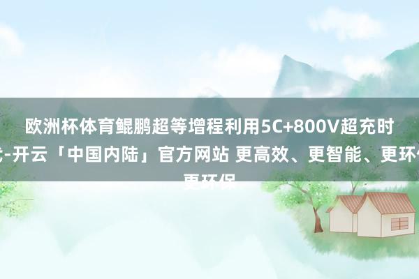 欧洲杯体育鲲鹏超等增程利用5C+800V超充时代-开云「中国内陆」官方网站 更高效、更智能、更环保