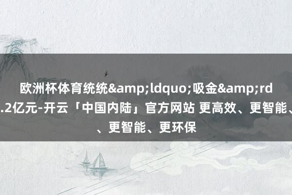 欧洲杯体育统统“吸金”10.2亿元-开云「中国内陆」官方网站 更高效、更智能、更环保