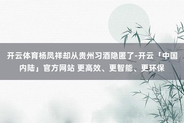 开云体育杨凤祥却从贵州习酒隐匿了-开云「中国内陆」官方网站 更高效、更智能、更环保