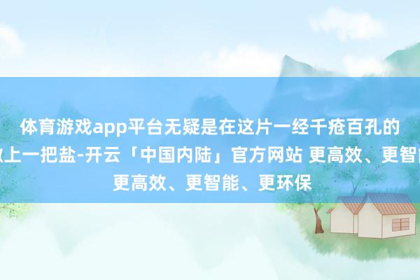 体育游戏app平台无疑是在这片一经千疮百孔的地盘上再撒上一把盐-开云「中国内陆」官方网站 更高效、更智能、更环保