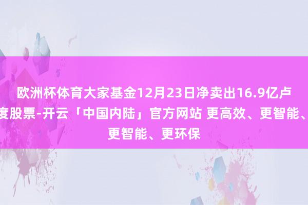 欧洲杯体育大家基金12月23日净卖出16.9亿卢比的印度股票-开云「中国内陆」官方网站 更高效、更智能、更环保