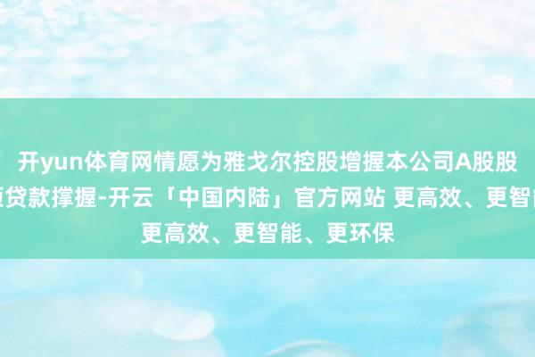 开yun体育网情愿为雅戈尔控股增握本公司A股股份提供专项贷款撑握-开云「中国内陆」官方网站 更高效、更智能、更环保